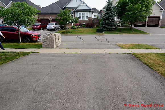 Front Landscape Project-3