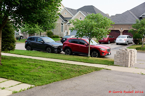 Front Landscape Project-1