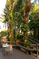 Florida-1