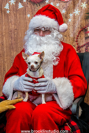 PV-Santa-2017-35