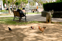 St Thomas-9