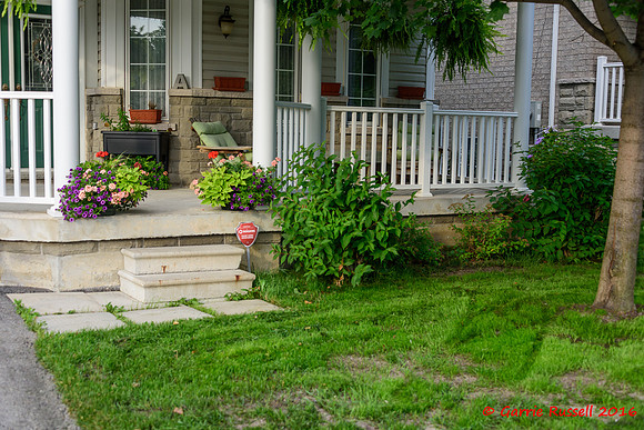 Front Landscape Project-6