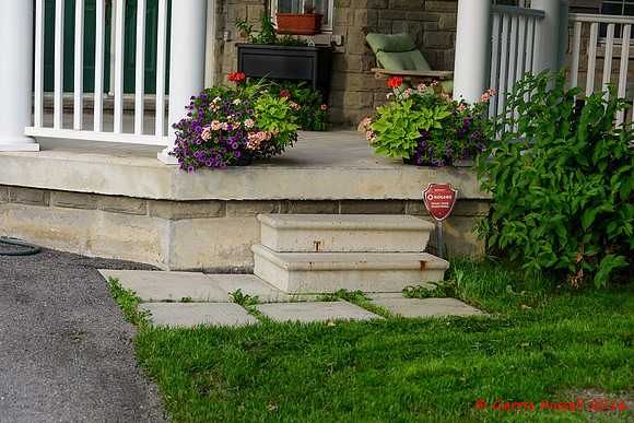 Front Landscape Project-8