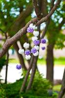 Garden Pre-Wedding