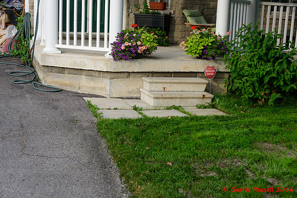 Front Landscape Project-9