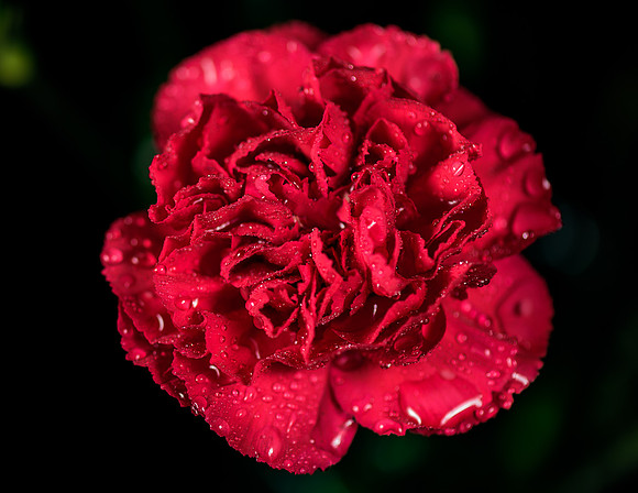 Macro-12