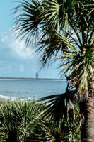 Florida-85