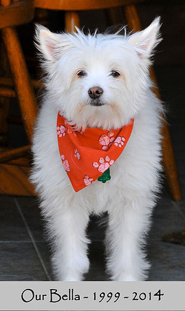 Our Bella