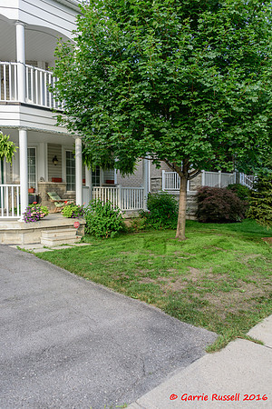 Front Landscape Project-14