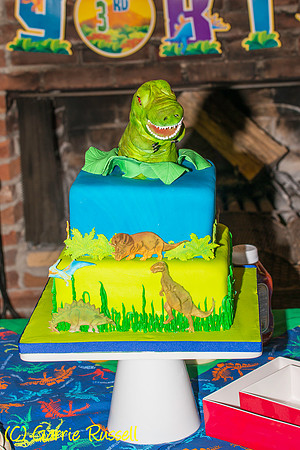Jake's 3rd Birthday-1