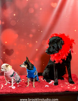 pet valu 2-069