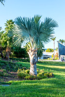 Florida-84