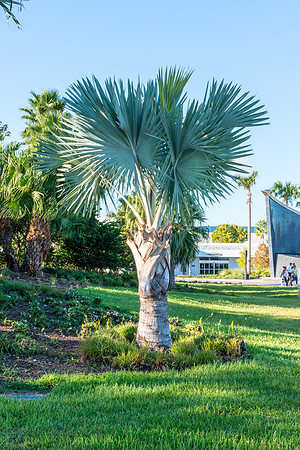 Florida-84