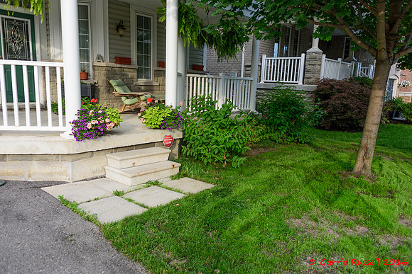 Front Landscape Project-10
