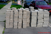 Front Landscape Project-13