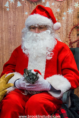 PV-Santa-2017-56
